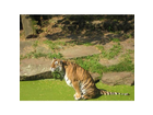 Allwetterzoo-muenster