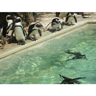 Allwetterzoo-muenster