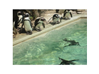 Allwetterzoo-muenster