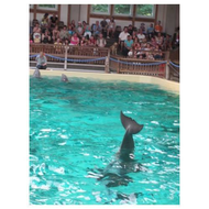 Allwetterzoo-muenster