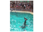 Allwetterzoo-muenster