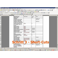 Screen-shot-zum-bericht-short-cuts-was-soll-denn-das-sein