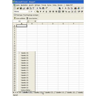 Screen-shot-zur-schnellen-navigation-in-ms-excel-tabellenblaettern