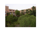 Barrosa-garden