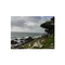 Monterey