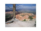Der-bryce-canyon