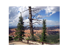 Der-bryce-canyon