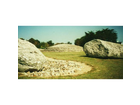 Der-grand-menhir-brise-und-der-table-de-marchand-im-hintergrund-in-locmariaquer