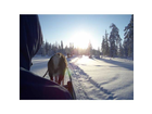 Finnland