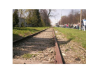Die-schienen-und-der-march-of-the-living