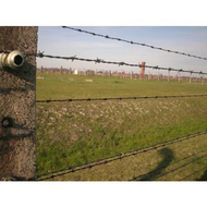 Birkenau-so-weit-das-auge-reicht