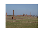 Unfassbar-wie-riesig-das-gelaende-in-auschwitz-birkenau-war