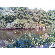 Vogelschutzgebiet