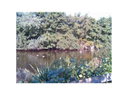 Vogelschutzgebiet