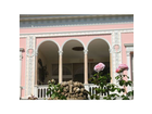 Rosen-im-garten-der-villa-ephrussi-de-rothschild-in-st-jean-cap-ferrat