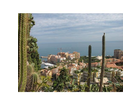 Blick-auf-monaco-fontvieille-vomjardin-exotique