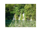 Das-wasser-faellt-oft-in-grosser-breite-in-die-seen