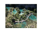 Blick-vom-panoramaweg-auf-die-seen-mit-wanderweg