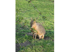 Tiergarten-schoenbrunn