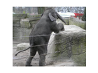 Tierpark-hagenbeck