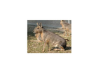 Tierpark-hagenbeck