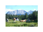 Urlaubsimpression-von-der-tauplitzalm