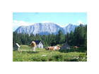Urlaubsimpression-auf-der-tauplitzalm