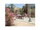 Boulevard-14-janvier-2011