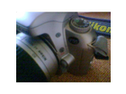 Meine-nikon