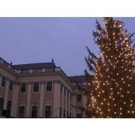 Schloss-schoenbrunn-und-der-weihnachtsbaum
