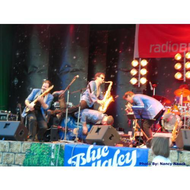 Blue-haley-band
