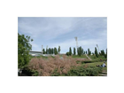 Mauerpark-berlin