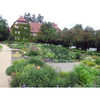 Botanischer-garten-berlin