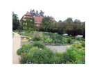 Botanischer-garten-berlin