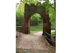 Burgtor-und-mauerreste-im-wald