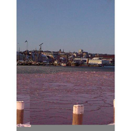 Flensburger-hafen