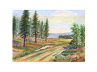 Waldweg