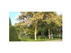 Der-nette-park