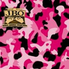 Rosa-armee-fraktion-j-b-o