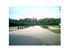 Blick-vom-schloss-auf-den-park