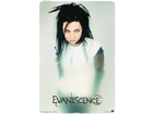 Das-ist-die-saengerin-amy-lee