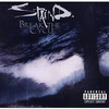 Break-the-cycle-staind