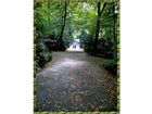 Wege-im-zoo