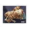 Nici-25121-wild-nici-tiger