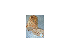 Brot-co