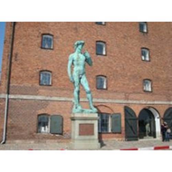 Der-nackige-david-o