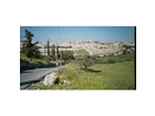 Blick-auf-jerusalem-vom-oelberg