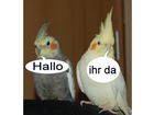 Fridolin-und-tweety