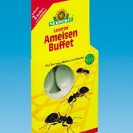 Neudorff-loxiran-ameisenbuffet