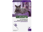 Bayer-advantage-80